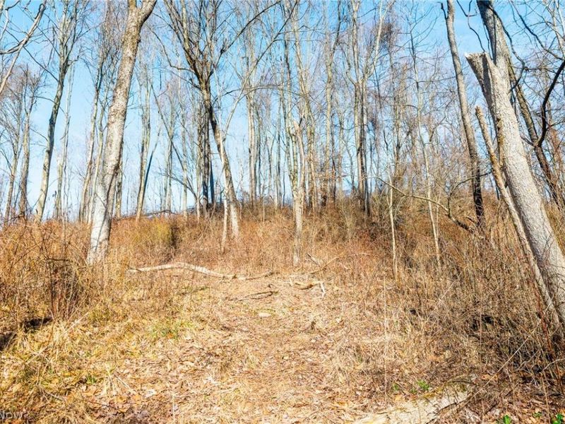 2535 Millersburg Road , Wooster, OH 44691 Photo 17