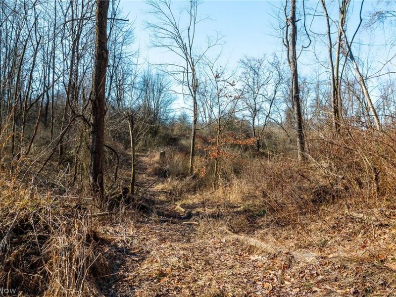 2535 Millersburg Road , Wooster, OH 44691 Photo 18