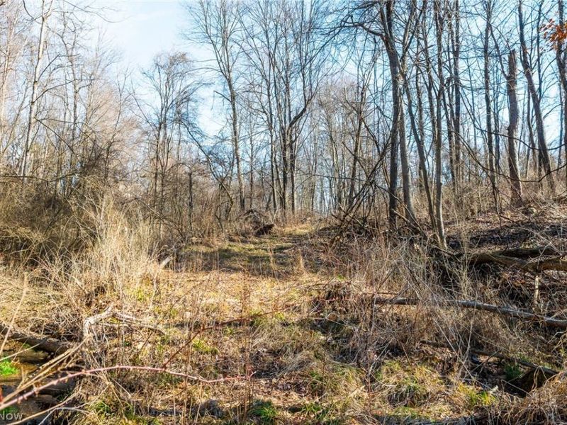 2535 Millersburg Road , Wooster, OH 44691 Photo 19