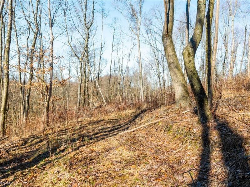 2535 Millersburg Road , Wooster, OH 44691 Photo 21