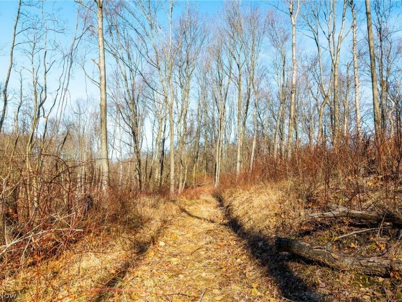 2535 Millersburg Road , Wooster, OH 44691 Photo 22