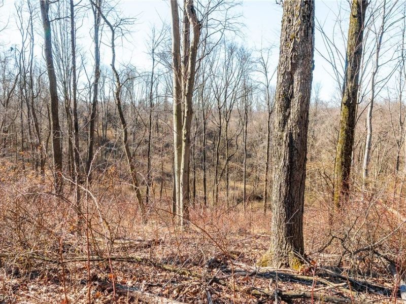 2535 Millersburg Road , Wooster, OH 44691 Photo 23