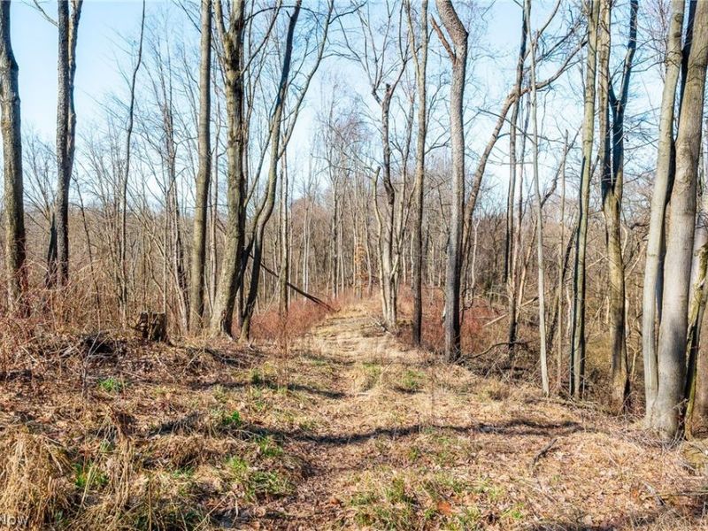 2535 Millersburg Road , Wooster, OH 44691 Photo 24