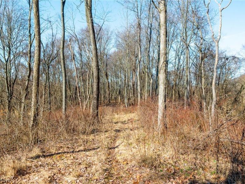 2535 Millersburg Road , Wooster, OH 44691 Photo 25