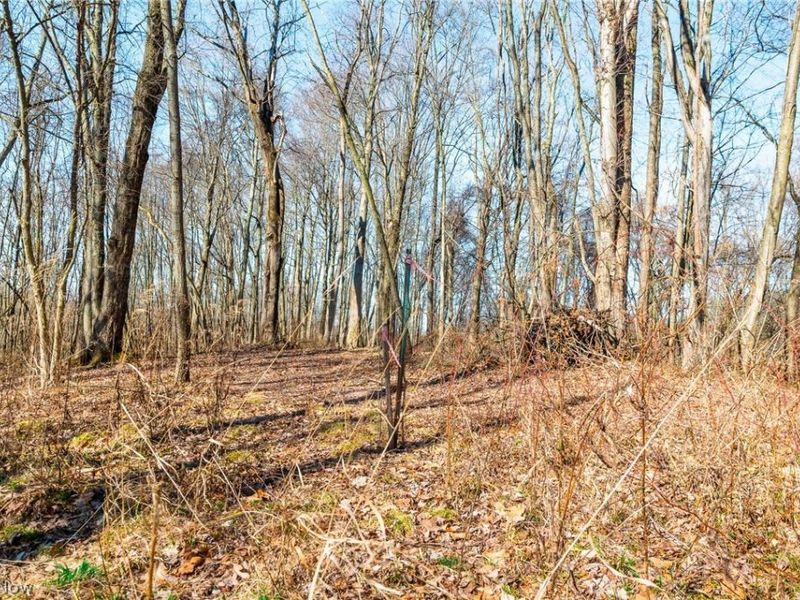 2535 Millersburg Road , Wooster, OH 44691 Photo 26