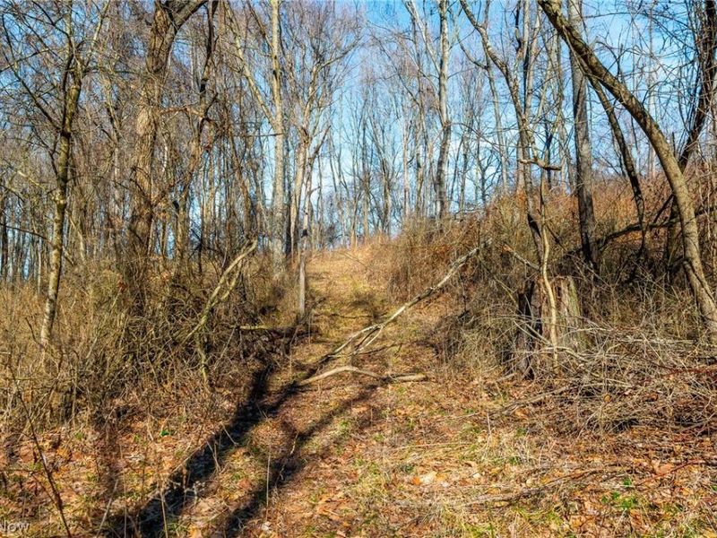 2535 Millersburg Road , Wooster, OH 44691 Photo 27