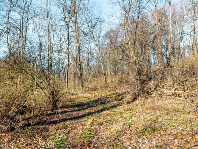 2535 Millersburg Road , Wooster, OH 44691 Photo 28