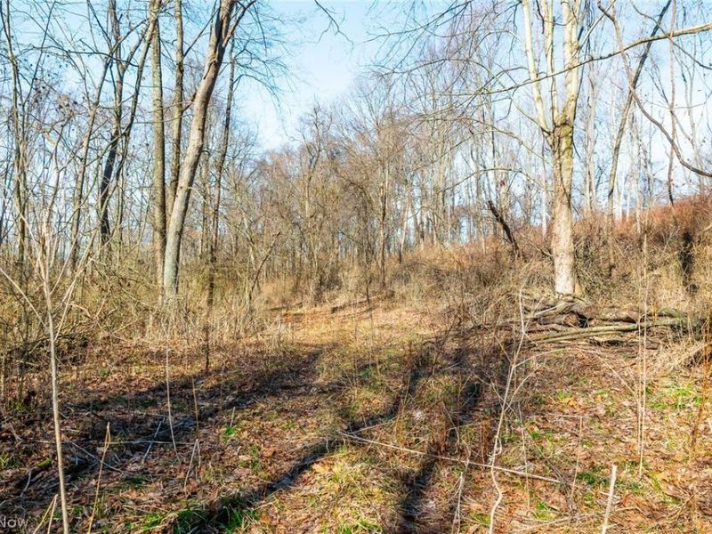 2535 Millersburg Road , Wooster, OH 44691 Photo 29