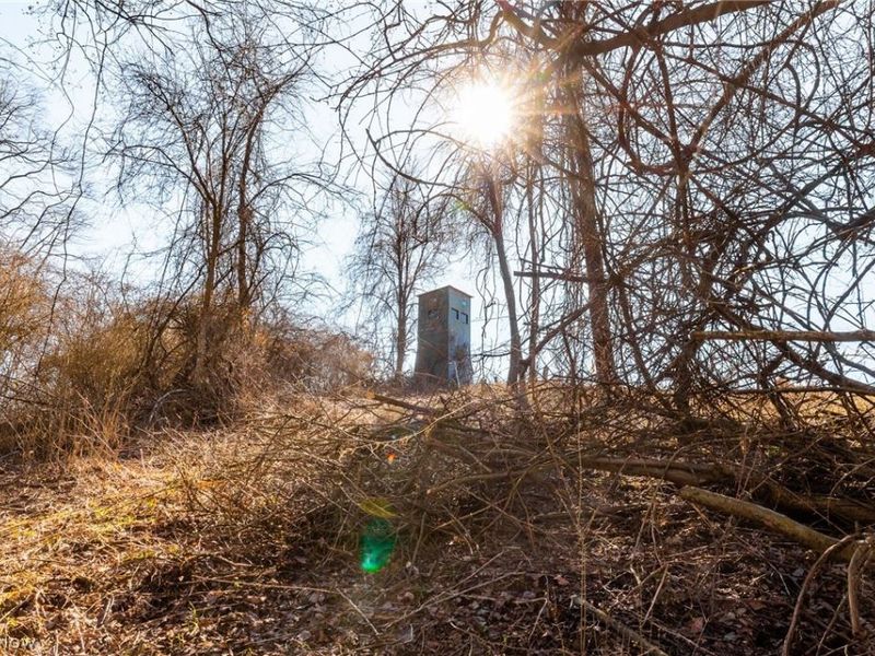 2535 Millersburg Road , Wooster, OH 44691 Photo 3