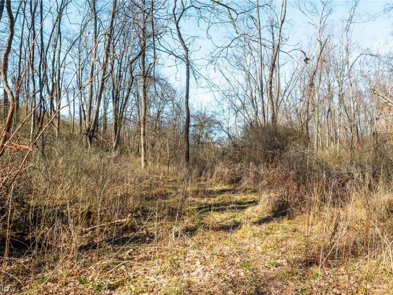 2535 Millersburg Road , Wooster, OH 44691 Photo 30