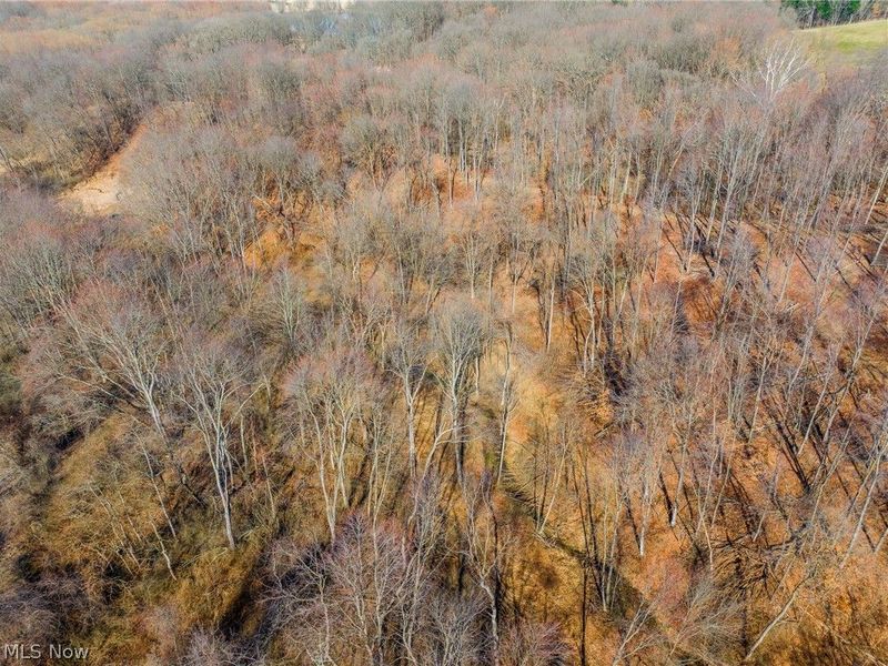 2535 Millersburg Road , Wooster, OH 44691 Photo 43