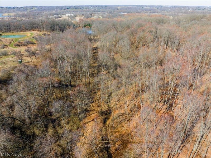 2535 Millersburg Road , Wooster, OH 44691 Photo 46