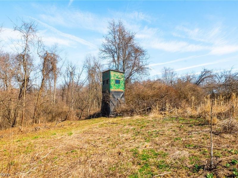 2535 Millersburg Road , Wooster, OH 44691 Photo 6