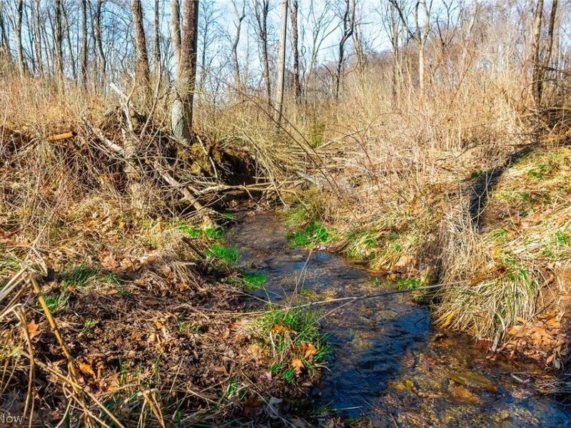 2535 Millersburg Road , Wooster, OH 44691 Photo 8