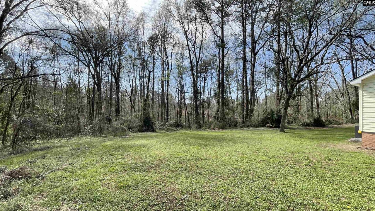 230 Doty Road Extension Photo 15