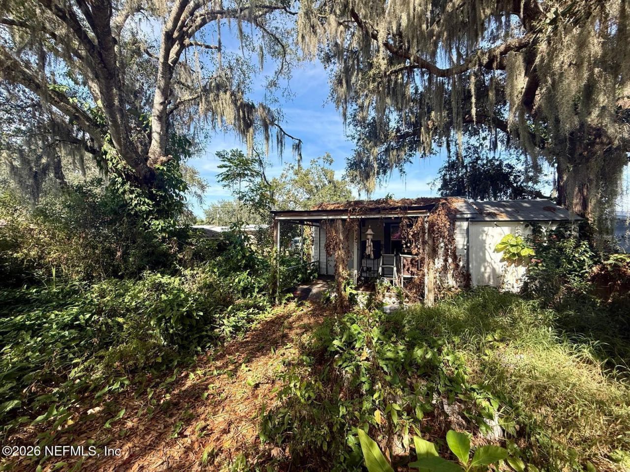 603 N Lee Avenue, Arcadia, FL 34266 Photo