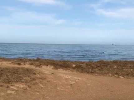 Sw Redondo Beach 065-171-050 Rd, Half Moon Bay, CA 94019 Photo