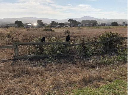 Sw Redondo Beach 065-171-050 Rd, Half Moon Bay, CA 94019 Photo