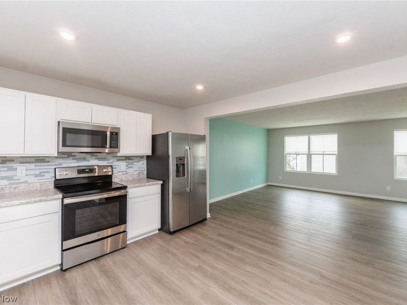 784 Pine Spring Drive, Painesville, OH 44077 Photo 9