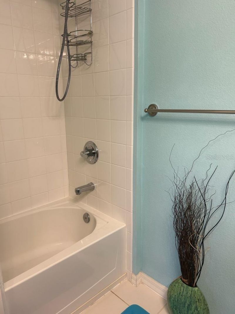 8807 White Sage Loop , Lakewood Ranch, FL 34202 Photo