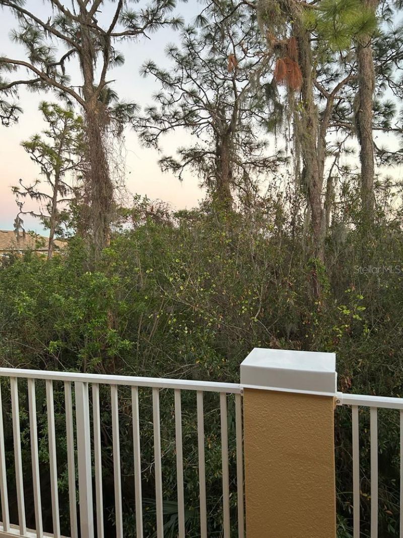 8807 White Sage Loop , Lakewood Ranch, FL 34202 Photo