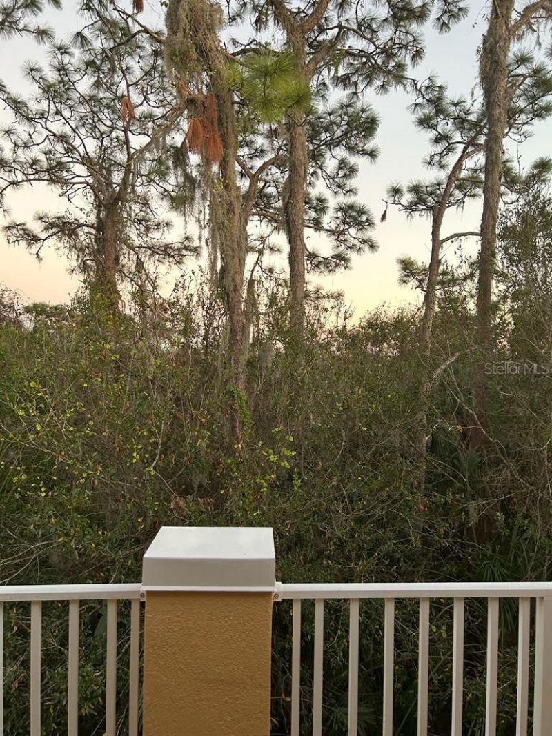 8807 White Sage Loop , Lakewood Ranch, FL 34202 Photo