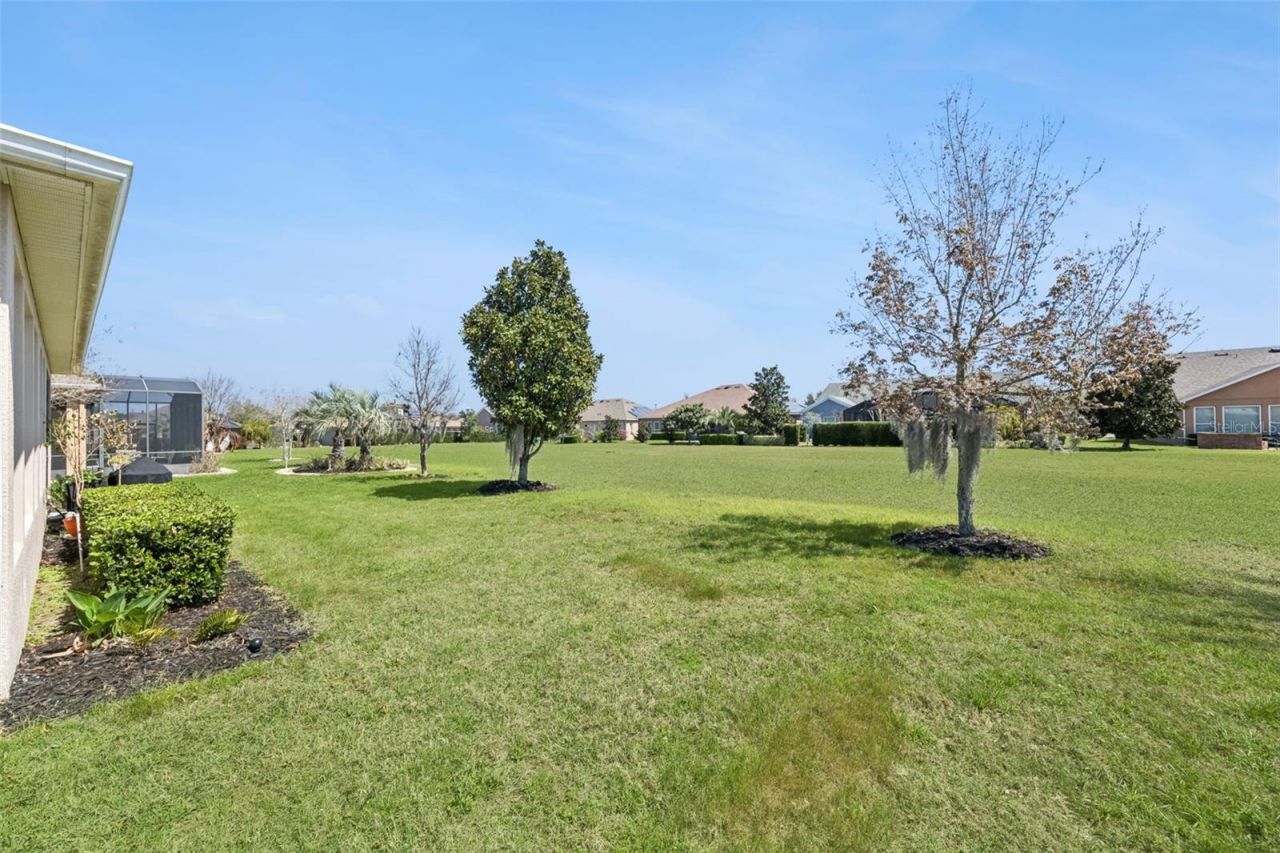 371 Salt Marsh Lane, Groveland, FL 34736 Photo