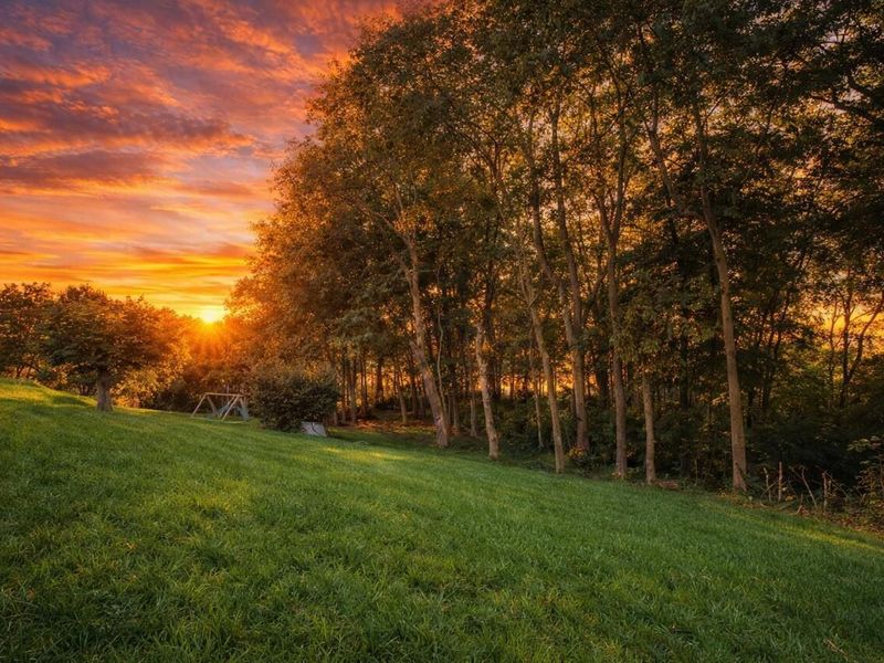 5223 Thompson Lane , Delaware, OH 43015 Photo 35