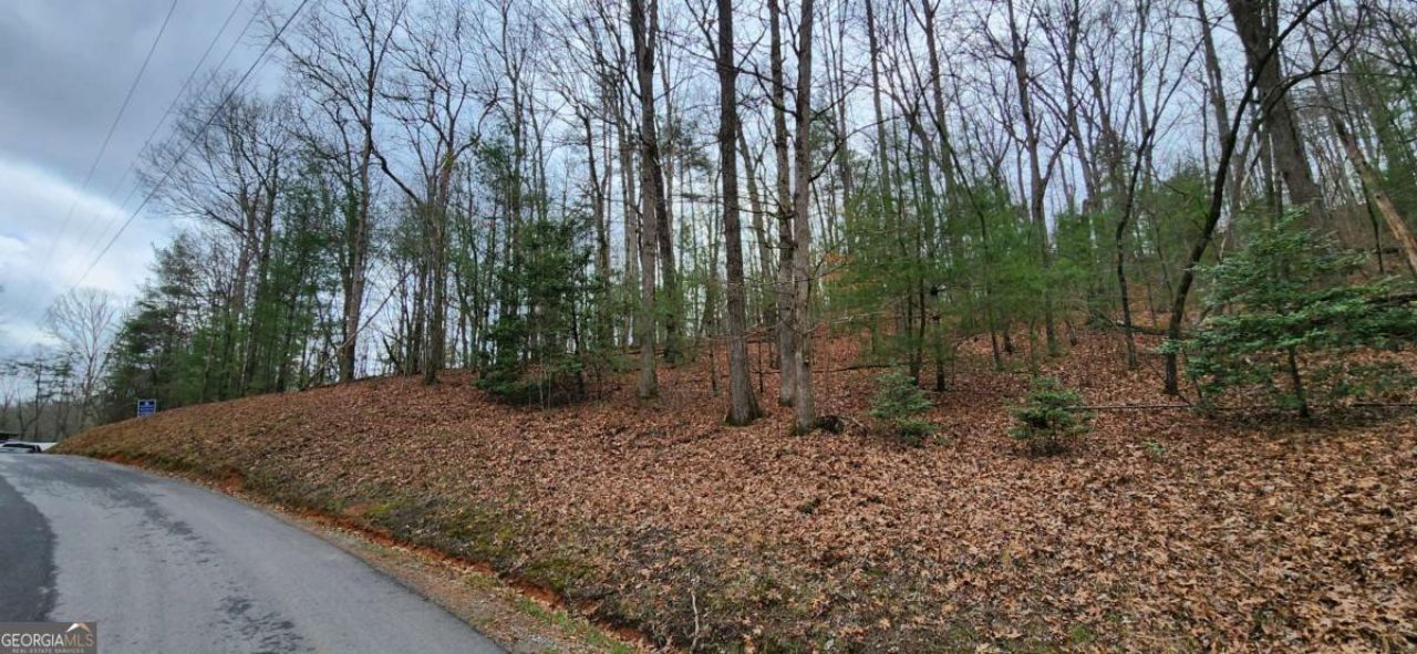 Lot 13 Mangums Trail, Blue Ridge, GA 30513 Main Photo
