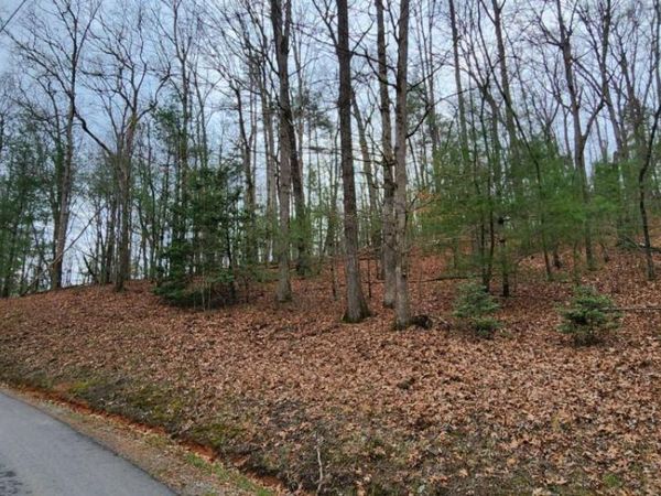 LOT 13 Mangums Trail, Blue Ridge, GA 30513