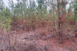 Qbf 12 Nurnberg Drive photo 4