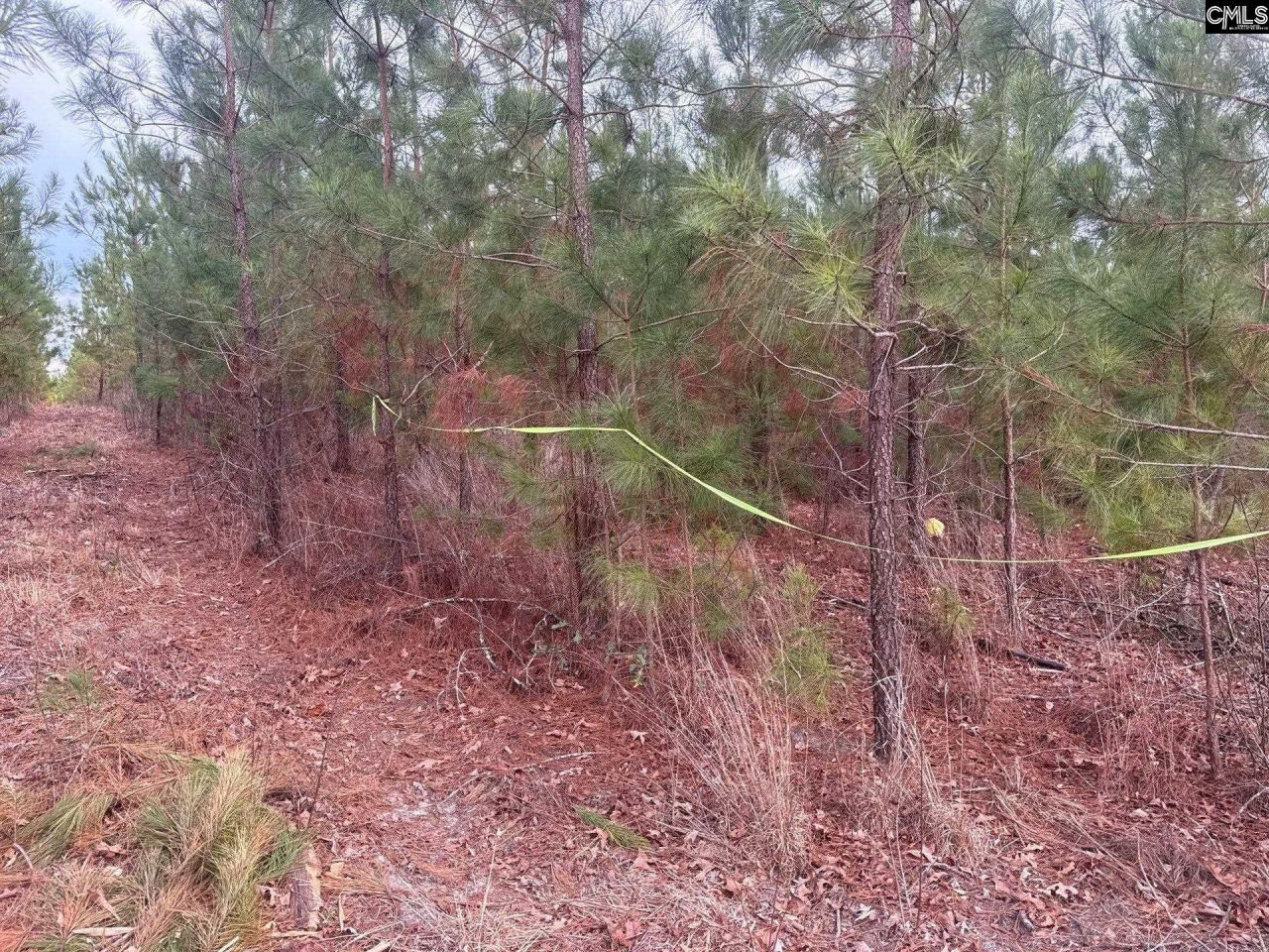 Qbf 12 Nurnberg Drive Photo 4