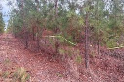 Qbf 12 Nurnberg Drive photo 4