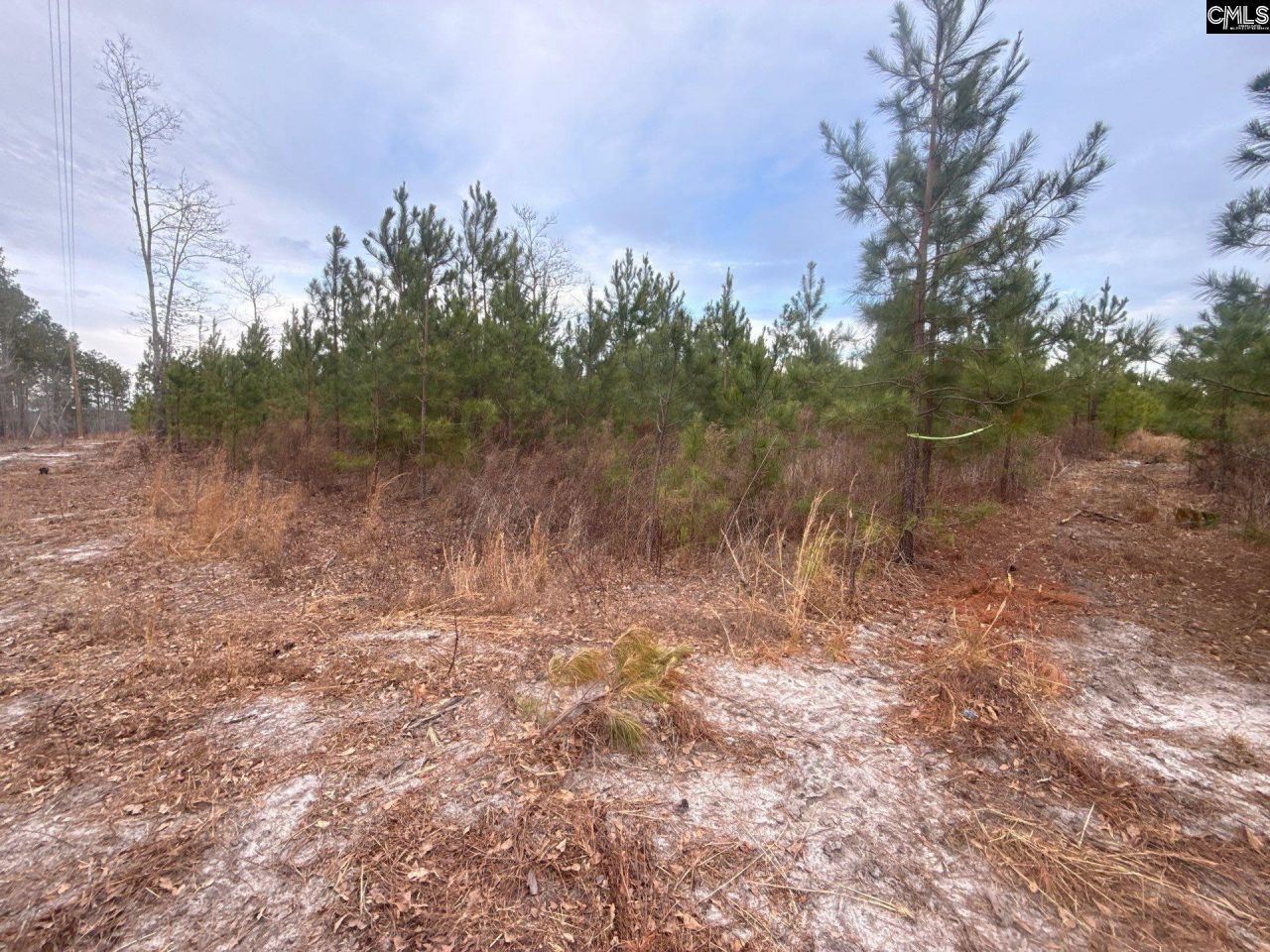 Qbf 12 Nurnberg Drive Photo 5