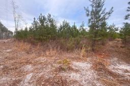 Qbf 12 Nurnberg Drive photo 4