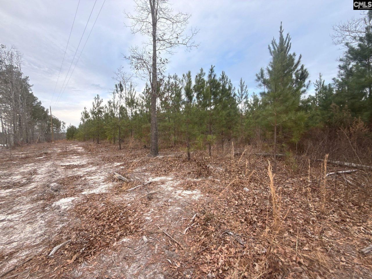 Qbf 12 Nurnberg Drive Photo 6