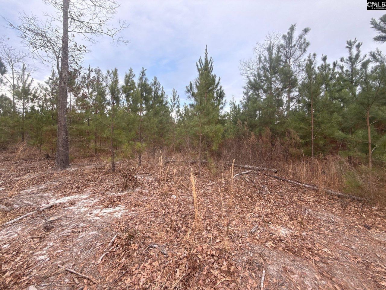 Qbf 12 Nurnberg Drive Photo 7