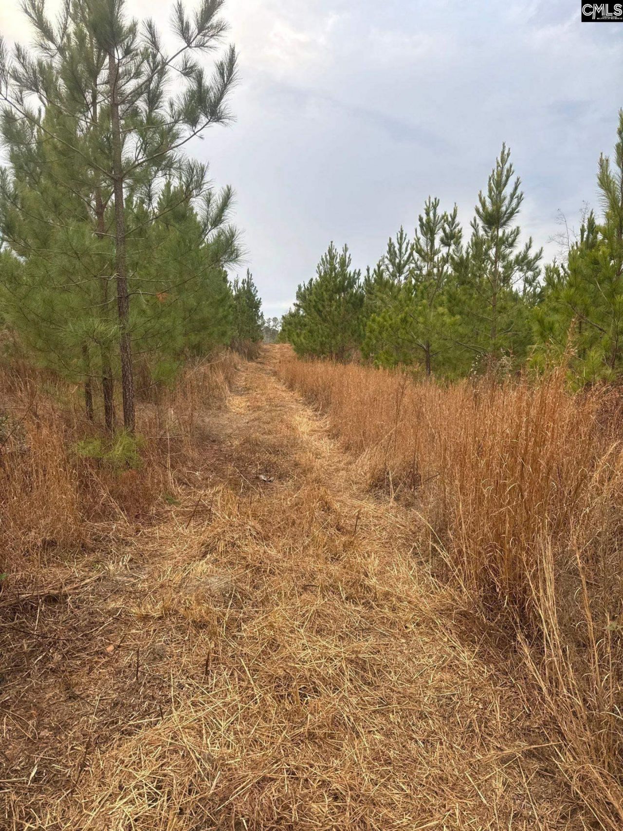 Qbf 12 Nurnberg Drive Photo 8