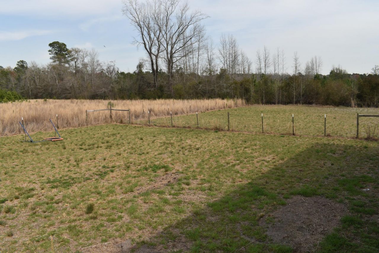 9968 Hardwick Rd. Photo 27