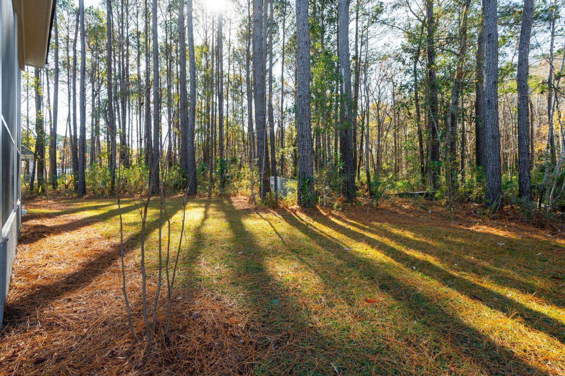 1167 Guerins Bridge Road Photo 80