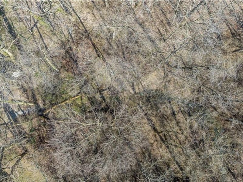 359 E Main Street, Piqua, OH 45356 Photo 30