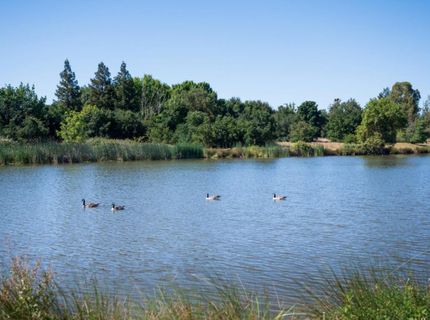 8137 Arrowfield Way, Elk Grove, CA 95757 Photo