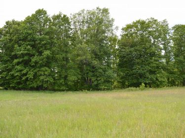 Summit City Road, Kingsley, MI 49649