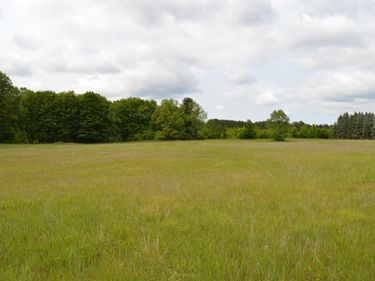 Summit City Road, Kingsley, MI 49649