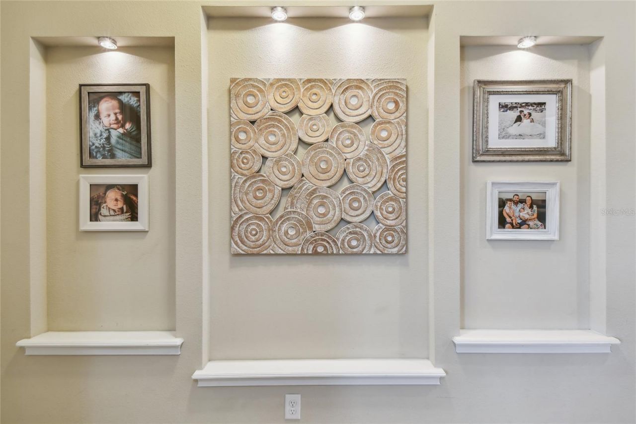 11307 Quiet Forest Drive, Tampa, FL 33635 Photo