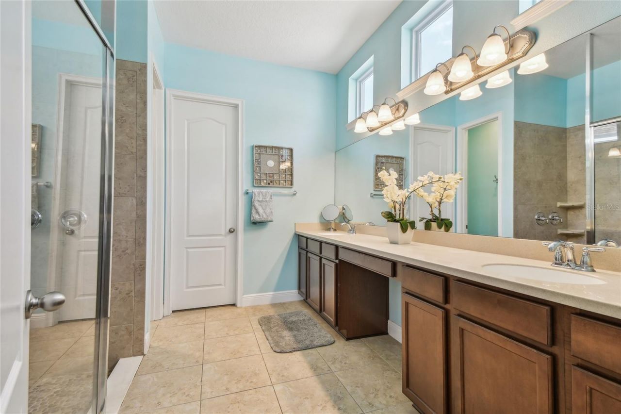 11307 Quiet Forest Drive, Tampa, FL 33635 Photo