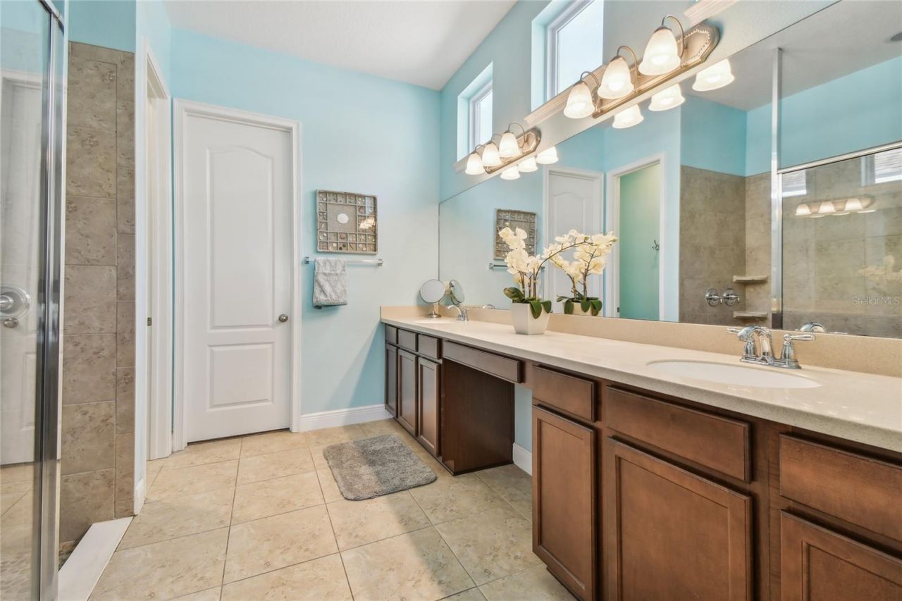 11307 Quiet Forest Drive, Tampa, FL 33635 Photo