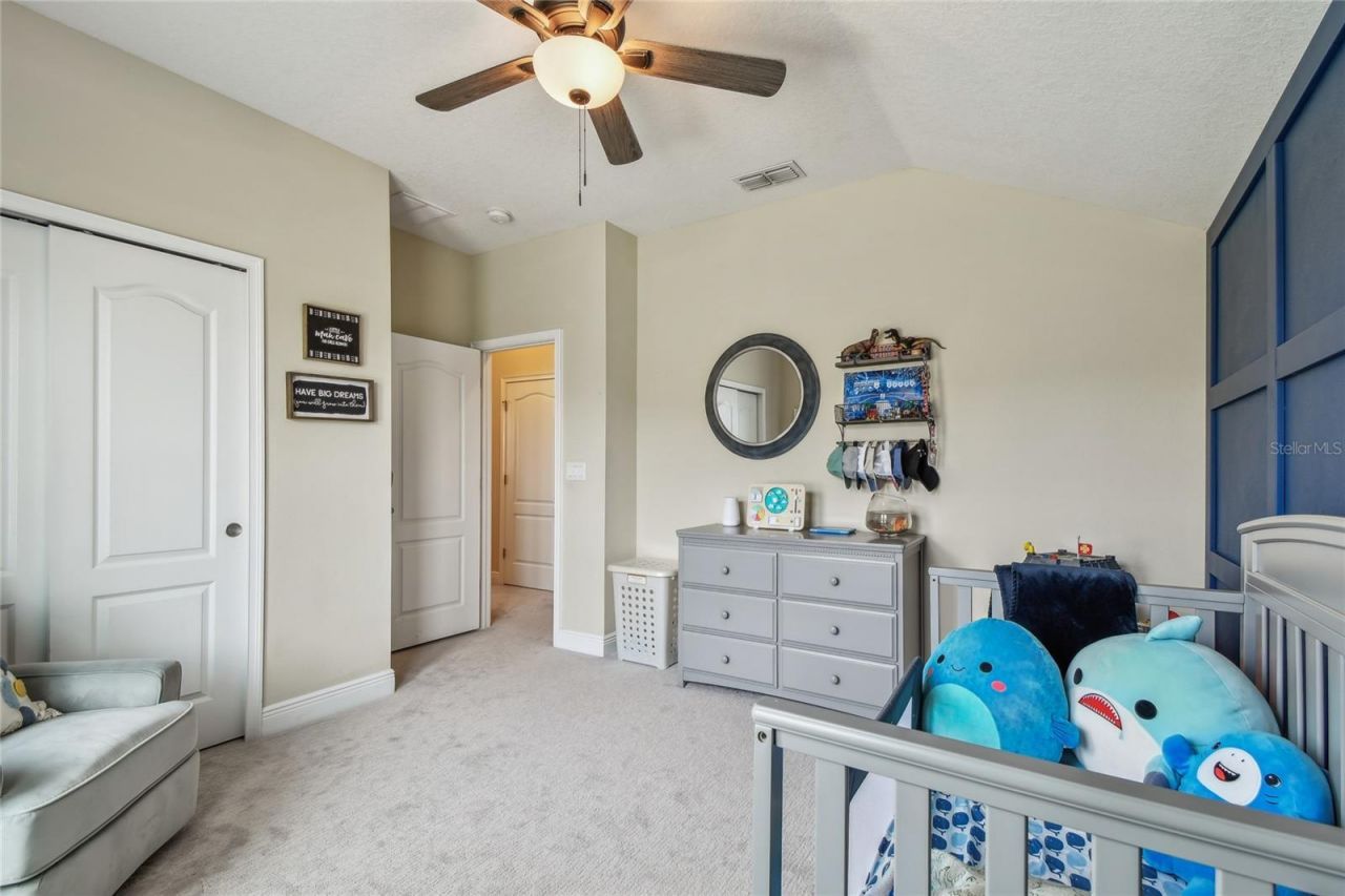 11307 Quiet Forest Drive, Tampa, FL 33635 Photo