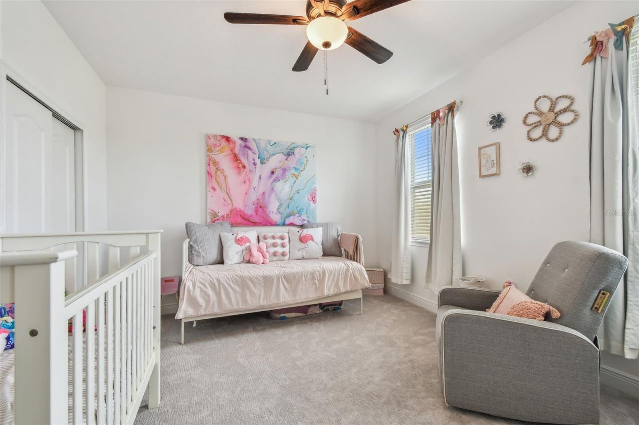 11307 Quiet Forest Drive, Tampa, FL 33635 Photo