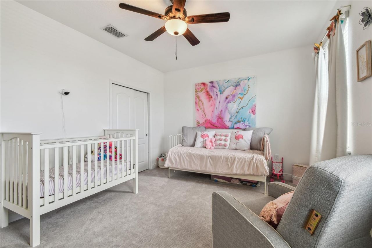 11307 Quiet Forest Drive, Tampa, FL 33635 Photo